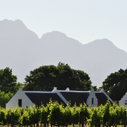 Stellenbosch