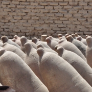 clay fermented wine in ica