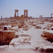 Palmyra