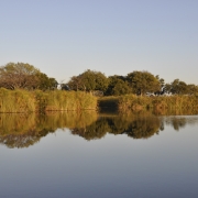 Okavango reflections