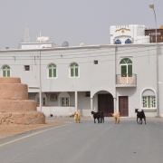 Omani Traffic