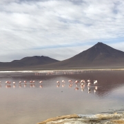 Laguna colorada