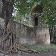 Ta Prohm Memoires