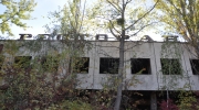 Pripyat, the walking dead
